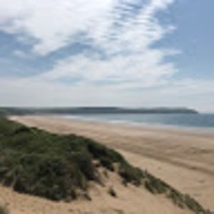 Meet your Posher, Priscilla